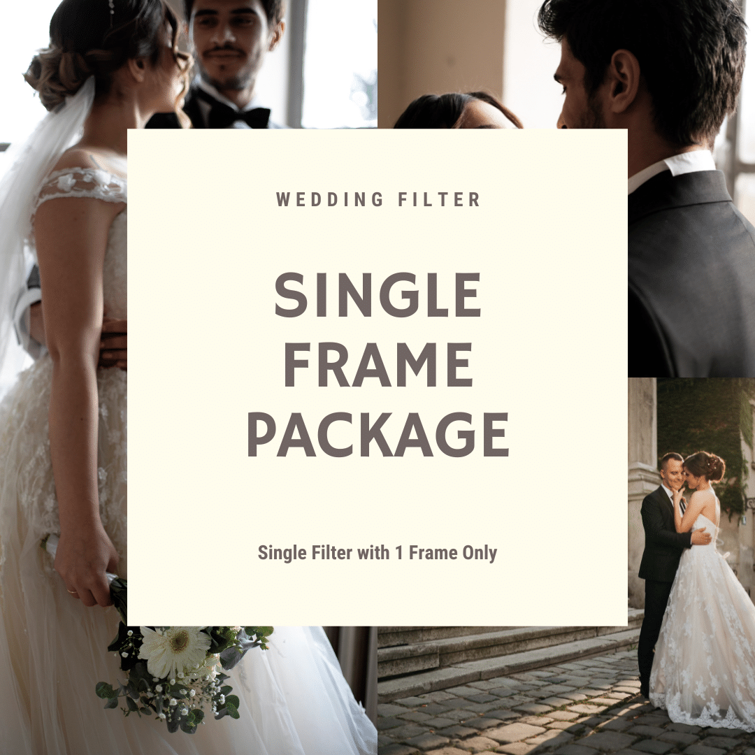 Single Frame wedding Filter